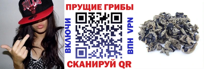 Галлюциногенные грибы Magic Shrooms Невьянск